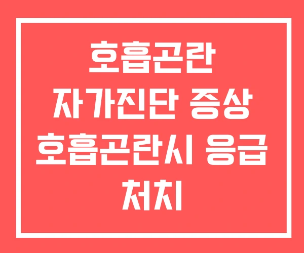 호흡곤란 자가진단 증상 호흡곤란시 응급 처치 호흡곤란 자가진단 증상 호흡곤란시 응급 처치