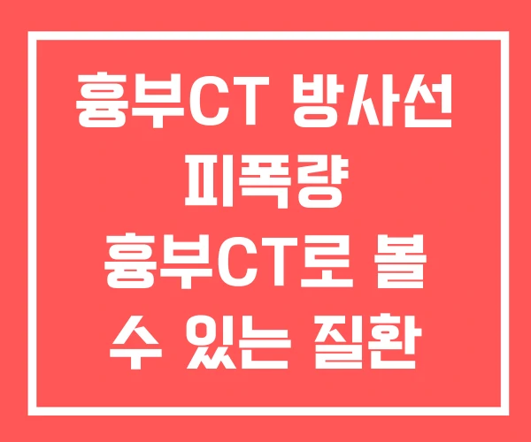 흉부CT 방사선 피폭량 흉부CT로 볼 수 있는 질환 흉부외과